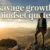 savage growth mindset quotes